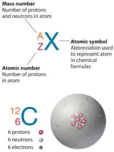 Nombre de protons - Numéro atomique